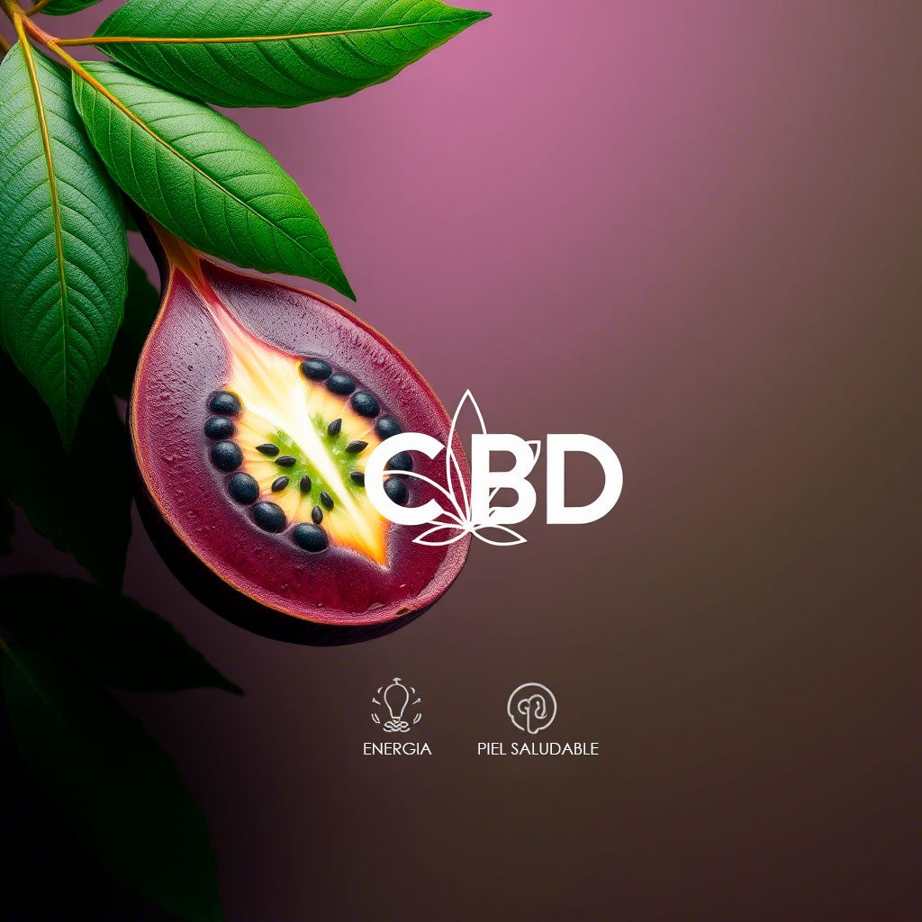 Açaí + CBD: La mezcla antioxidante que está conquistando el mundo del bienestar